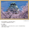Jigsaw Puzzle - Osaka Castle Main Keep In Full Bloom (1000 Pieces)