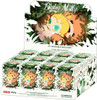 Baby Molly My Huggable Discovery Full Box (12pcs)