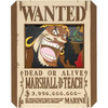 Ensky PT-370 ONE PIECE: Marshall D. Teach Paper Theater
