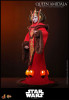 Hot Toys Movie Masterpiece - 1/6 Scale Fully Poseable Star Wars Episode I Queen Amidala Figure