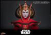 Hot Toys Movie Masterpiece - 1/6 Scale Fully Poseable Star Wars Episode I Queen Amidala Figure