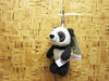 Entrex NICI BB Panda Ten Centimeters