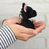 Entrex NICI BB French Bulldog