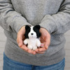 Entrex NICI BB Border Collie 10 Centimeters