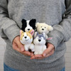 Entrex NICI BB Border Collie 10 Centimeters
