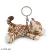 Entrex Nici Bb Homies 26 Bengal Cat 10 Centimeters