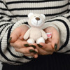 Entrex NICI BB Classic Bear 2024 Bear Bendix 10 Centimeters