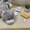 Entrex NICI Gray Cat Figure Pouch
