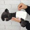 Entrex NICI Figure Pouch Baku