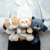 Entrex NICI Figurine Pouch Exotic Shorthair