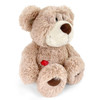 Entrex NICI Love Bear Classic 25 Cm Brown (Popo)