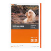 Other Kyokuto Thinking Study Notebook Japanese Language 12 Line L10R For Japanese Writing Practice 