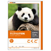 Other Kyokuto Thinking Study Notebook Japanese 8 Square Grid L81R For Japanese Writing Practice 