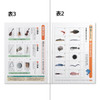 Other Kyokuto Thinking Study Notebook Japanese Language 15 Cell L83R For Japanese Writing Practice 
