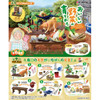 Re-ment Petit Sample - Growing Delicious Vegetables Complete Box (6pcs) 