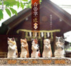  YELL Gassho Artisan Cat Worship Vol.2 BOX (10pcs) 