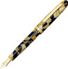 Platinum Pen Celluloid Ishigaki Fountain Pen - Fine Nib