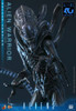 Hot Toys Movie Masterpiece 1/6 Fully Poseable Figure: Aliens - Alien Warrior (2.0 / Deluxe Version)