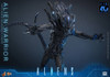 Hot Toys Movie Masterpiece 1/6 Fully Poseable Figure: Aliens - Alien Warrior (2.0)