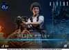 Hot Toys Movie Masterpiece 1/6 Fully Poseable Figure: Aliens - Ellen Ripley (2.0 / Deluxe Version)