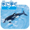 Takara Tomy Ania AL-40 Pacific White-Sided Dolphin (w/diver) (floating Ver.)