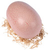 Takara Tomy Umarete! Woomo Jurassic World T-Rex Egg Red