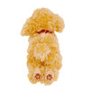 Sunlemon Hizawanko Extra Small Toy Poodle Beige