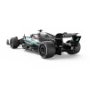 1/16 Mercedes Amg F1 W16 E Performance Plastic Model