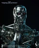 1/6 Terminator T-800 Endoskeleton Collectible Figure