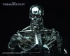1/6 Terminator T-800 Endoskeleton Collectible Figure
