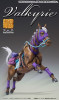 Medicos Super Action Statue JoJo's Bizarre Adventure Part.VII Steel Ball Run Valkyrie