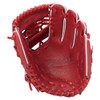 XANAX Hardball Junior Glove Zana Power Glove Mitt Glove Mitt (BHF25JL1P) (W94) Wine Brown L