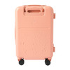 Pokemon Center Original Front Open Carry Case Fire Type Pokemon