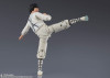 Bandai S.h.figuarts Dragon (project A)