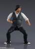 Bandai S.H.Figuarts Fei (Project A)