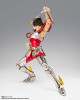 Bandai Saint Cloth Myth Ex Pegasus Seiya (original Bronze Cloth) Saint Seiya