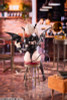 Succubus Maid "moka" 1/6 Complete Figure