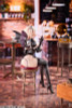 Succubus Maid "moka" 1/6 Complete Figure Deluxe Edition
