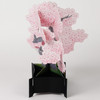 Greeting Life Bonsai Pop Up Card Cherry Blossom KE-71 Multipurpose