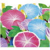 Sanrio Message Card Summer Card Filled With Morning Glories Greeting Card JSP 48-3 SANRIO 111104