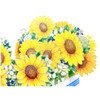 Sanrio Message Card Summer Card Sunflower Cart Greeting Card JSP 49-3 111112