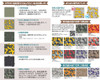 HiQparts Cloud Camouflage Masking Stickers 4 M 3 Sheets Included