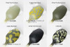 HiQparts Cloud Camouflage Masking Seals 4 L 3 Sheets Included
