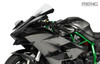 Other 1/9 Kawasaki Ninja H2R 2018 (Pre-Colored Edition)