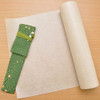 Platinum Pen Izumo Gloss Tagayasan Fountain Pen - Fine Nib