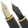 Platinum Pen Izumo Gloss Tagayasan Fountain Pen - Fine Nib