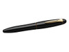 Platinum Pen Izumo Biwa Tame Fountain Pen - Medium Nib