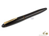 Platinum Pen Izumo Biwa Tame Fountain Pen - Medium Nib