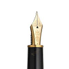 Platinum Pen Izumo Bamboo Weave Gozame Dark Fountain Pen - Medium Nib
