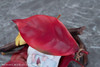 Other "Autumn Arrives" Illustrated by Tokiwata 1/1 Complete Figure Regular Edition 